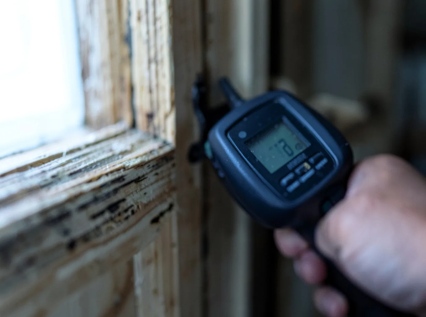 Moisture Inspection And Documentation in Big Wells, TX